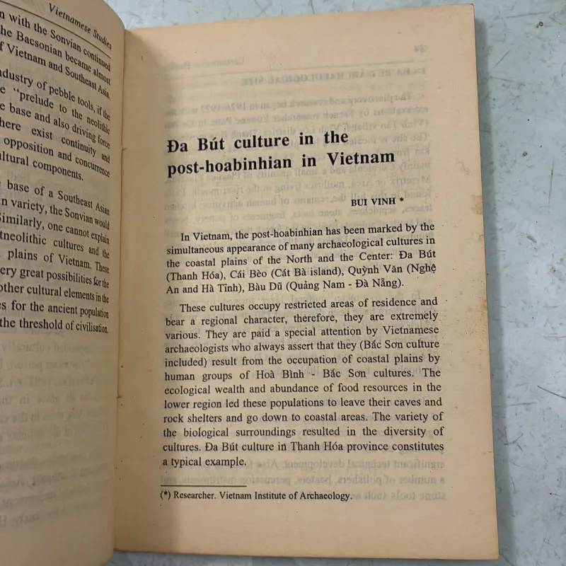 Vietnamese Studies 2/1996 989510