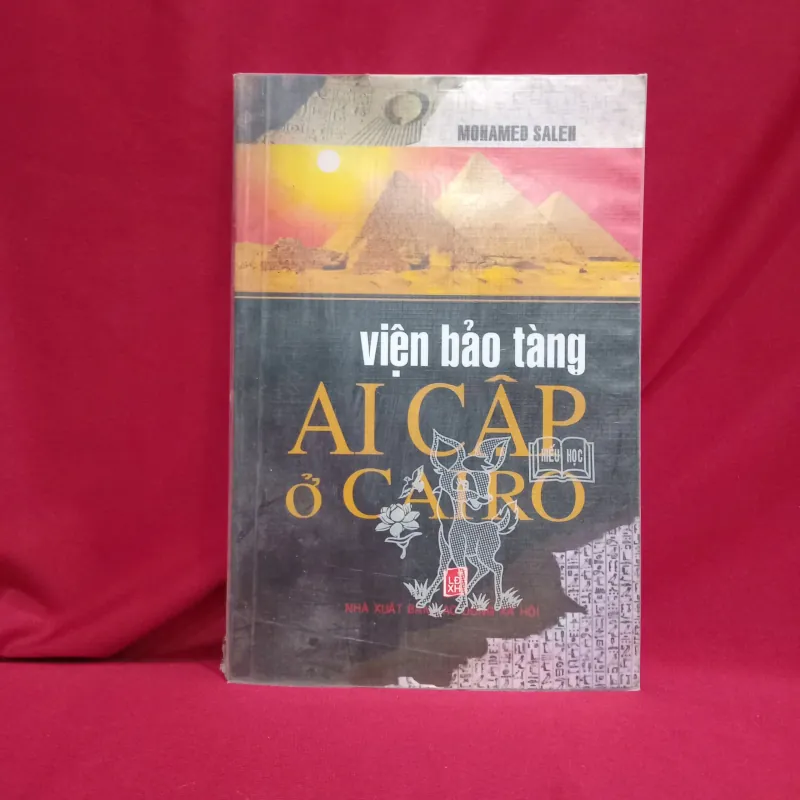 Viện bảo tàng Ai Cập ở Cairo 📚 1019587