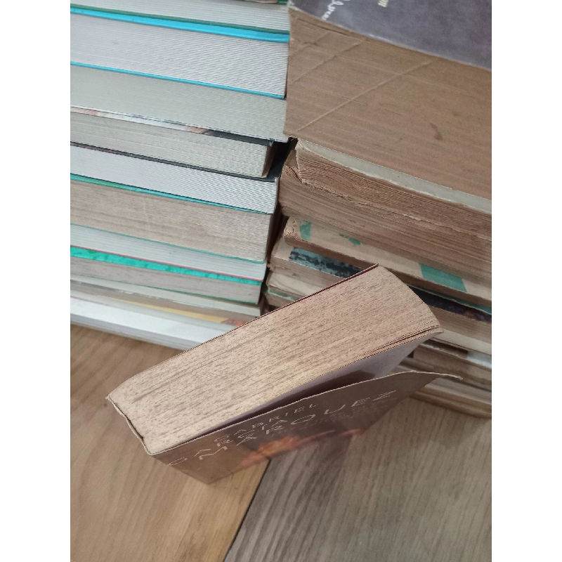 Die liebe in den zeiten der cholera - Gabriel García Márquez 787341