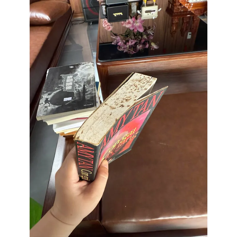 CON GÁI THẦY LANG – AMY TAN | TIỂU THUYẾT VĂN HỌC NƯỚC NGOÀI ĐẶC SẮC 976001