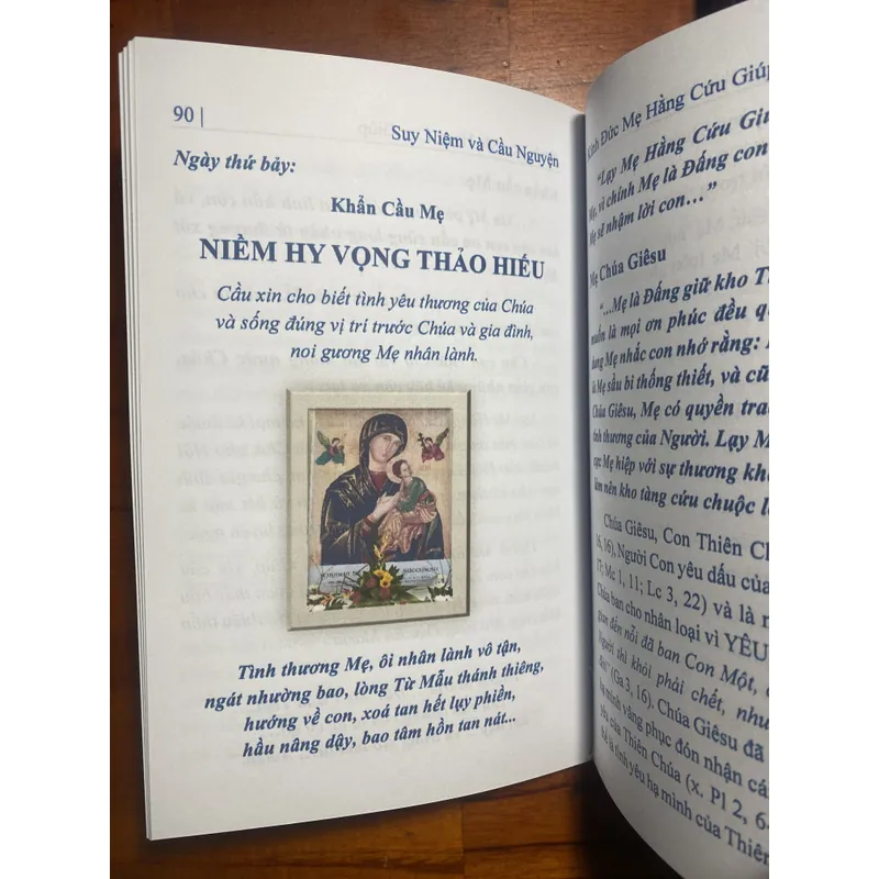 Suy niệm và cầu nguyện kính Đức Mẹ Hằng Cứu Giúp 732969