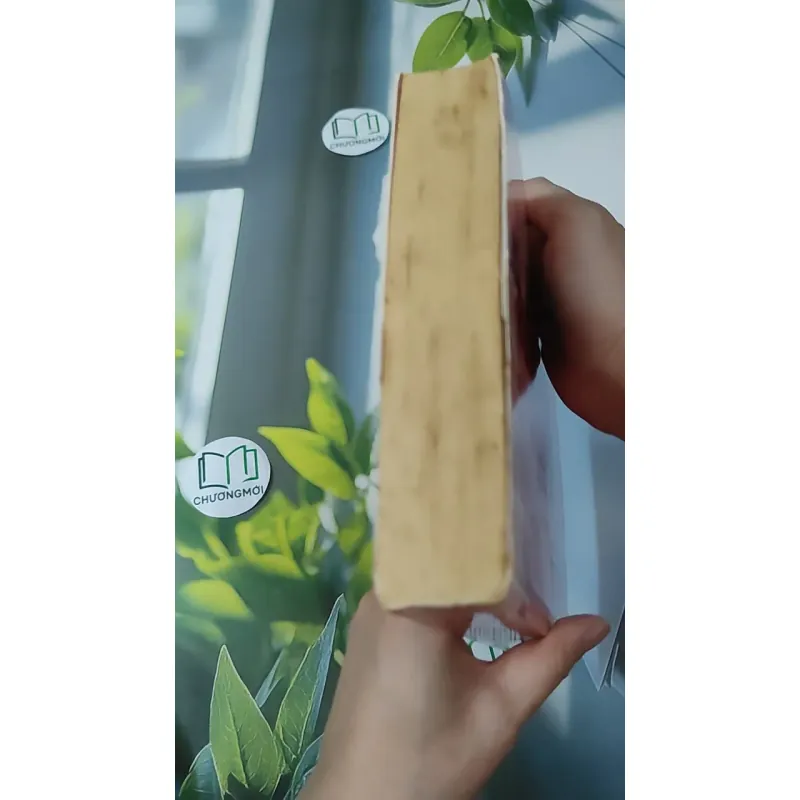 Khi Ta Đi Lướt Qua Nhau - Dạ Dao 1018875