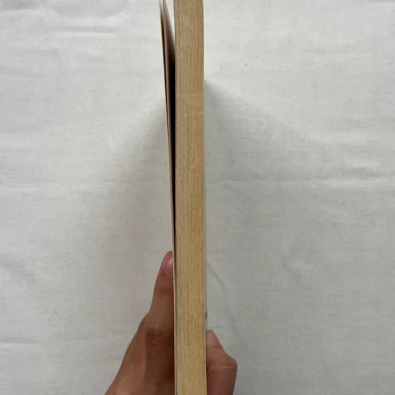 The Nation's Favourite: Poems of Remembrance  785333