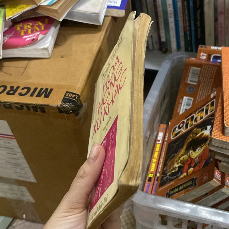 Hoa Hồng Xứ Khác tập 2 716566