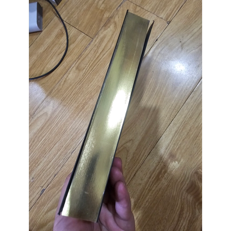 Nguồn gốc và sự phát triển của kiến trúc - biểu tượng và ngôn ngữ Đông Sơn (bản tiếng Anh) 497162