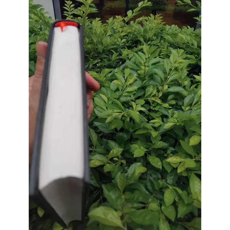 Truyện ngắn Lỗ Tấn  994783