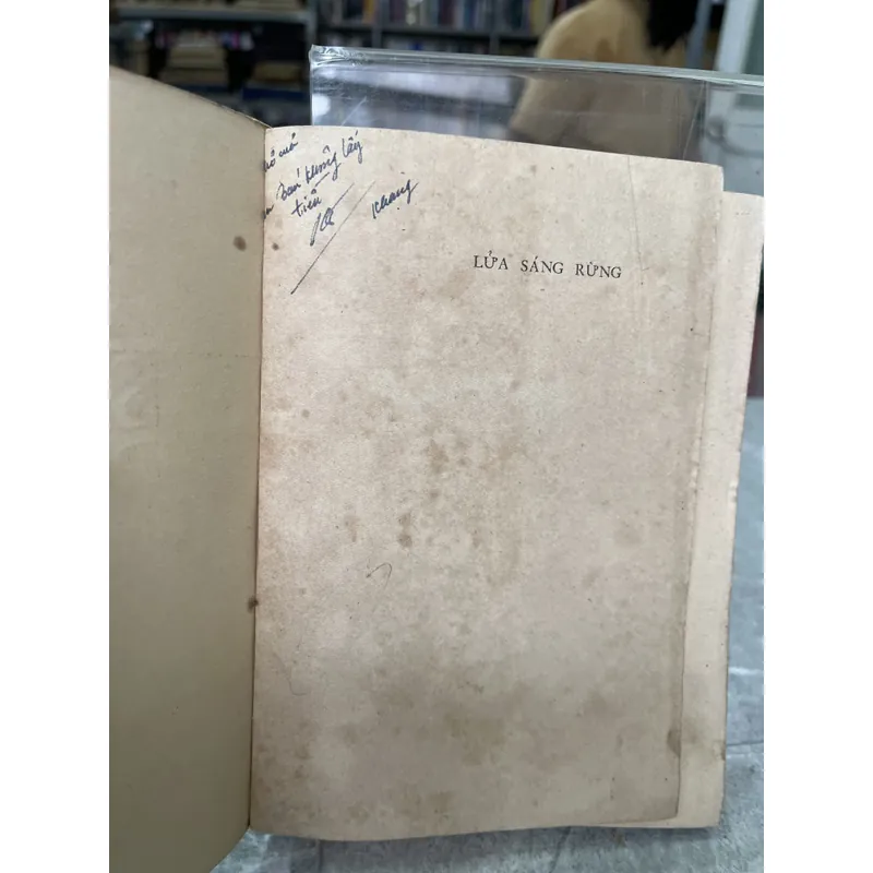 LỬA SÁNG RỪNG 704016