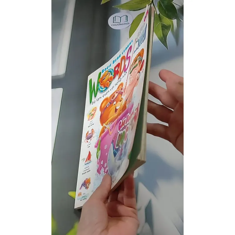 Gấu Bogie Học Từ - NXB Dân Trí - Đông A (Dan Tri - Dong A Publishing) 607708