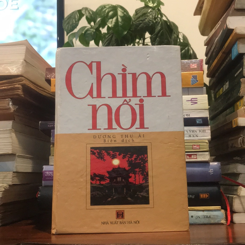 Chìm Nổi (XB 2001) 476804
