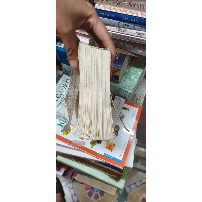 Những Di Sản Nổi Tiếng Thế Giới- Trần Mạnh Thường 546419