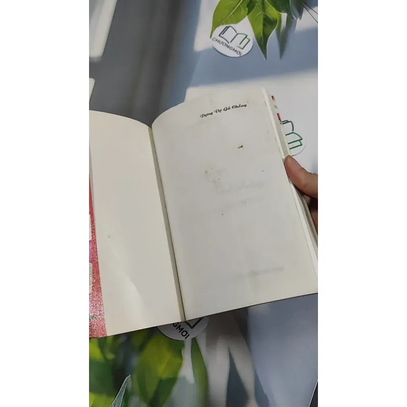 Dựng Vợ Gả Chồng - Hôn Lễ Và Nghi Thức - Phạm Côn Sơn 776172