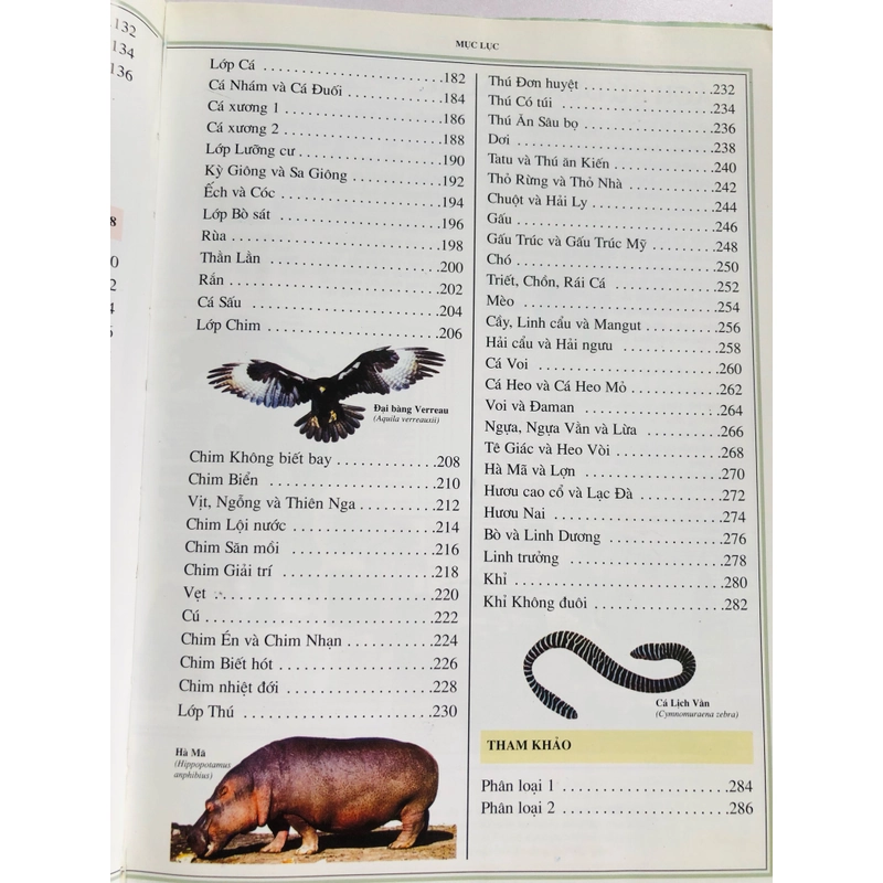 📚 BÁCH KHOA THƯ THẾ GIỚI TỰ NHIÊN 479463