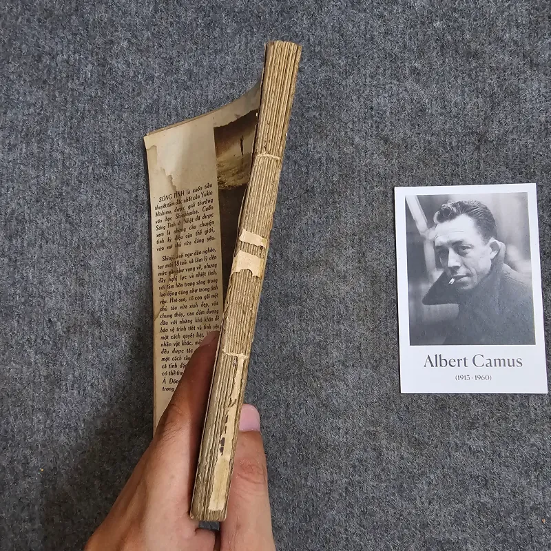 Sóng tình - Mishima Yukio 961761