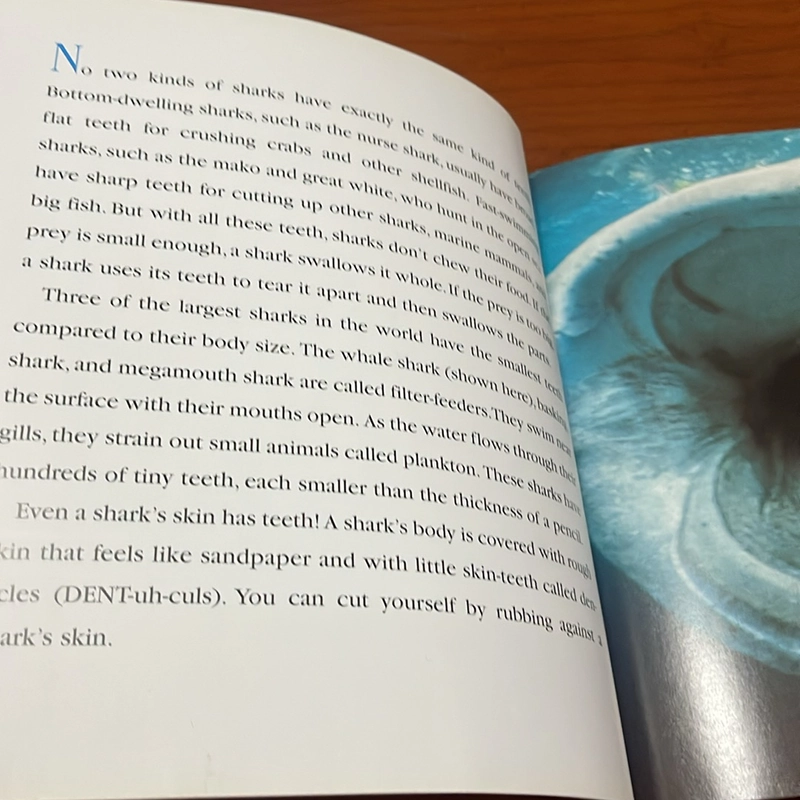 PICTURE BOOK Sharks 536435