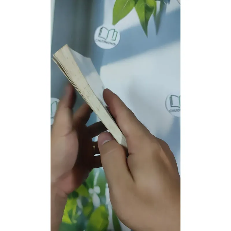 Hạt Chò Chỉ - Lê Minh 798479