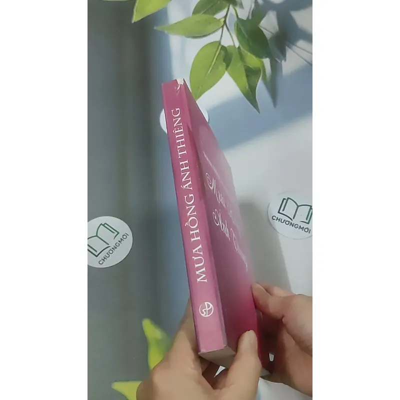 Mưa hồng ánh thiêng - Thánh Têresa hài đồng Giêsu 688631