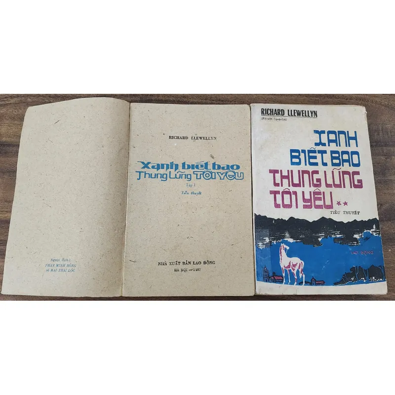 Trọn bộ 2 tập, tiểu thuyết Xanh biết bao thung lũng tôi yêu, tác giả Richard Llewellyn 703640