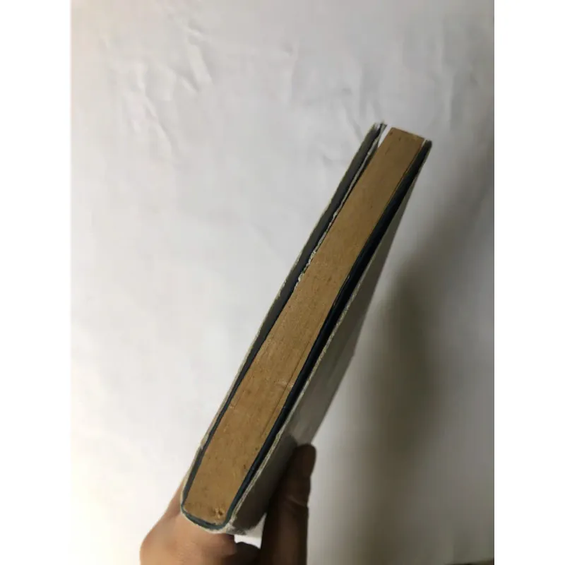 Đong Tấm Lòng - Nguyễn Ngọc Tư 782227