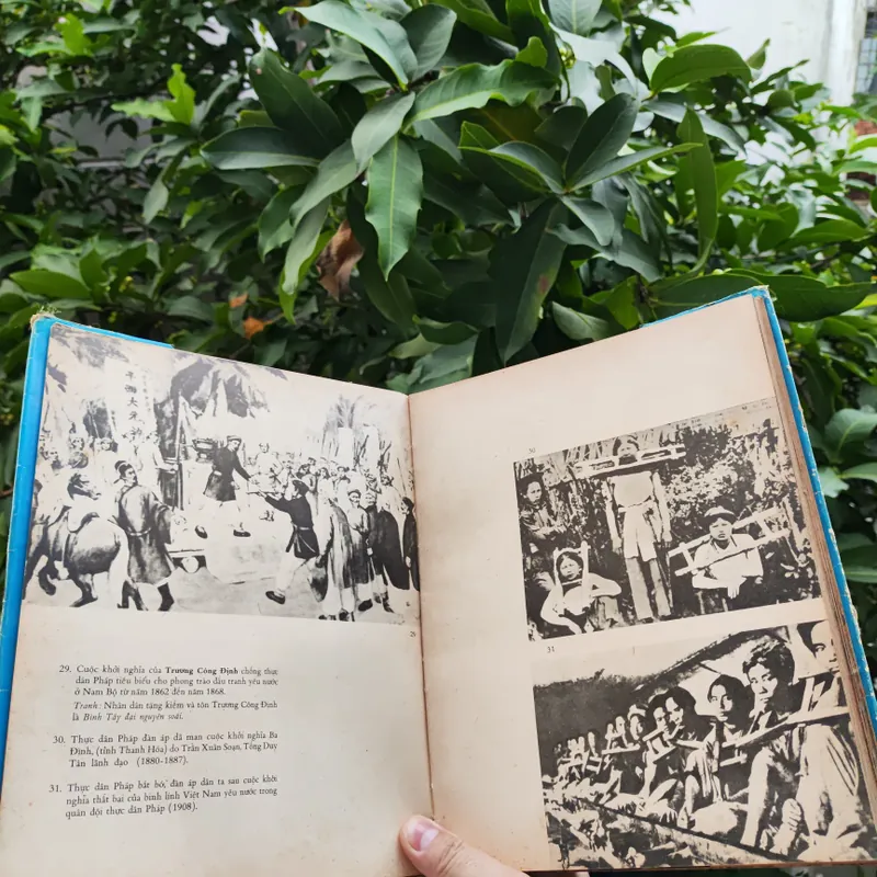 Dưới Lá Cờ Vẻ Vang Của Đảng 706340