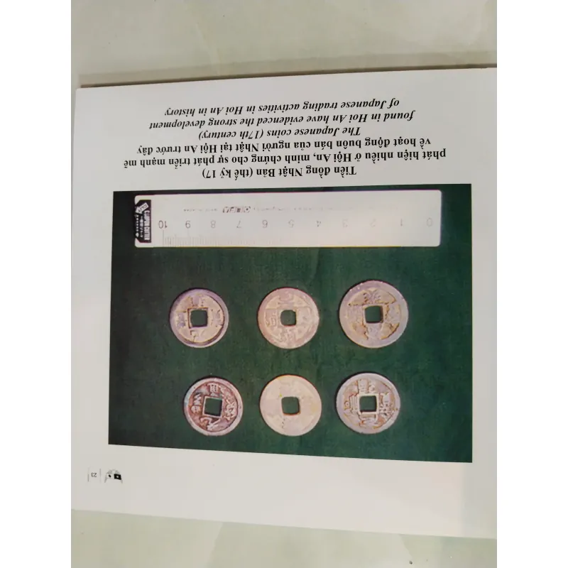 HÌNH ẢNH GIAO LƯU VĂN HÓA VIỆT NAM - NHẬT BẢN TẠI HỘI AN 975495