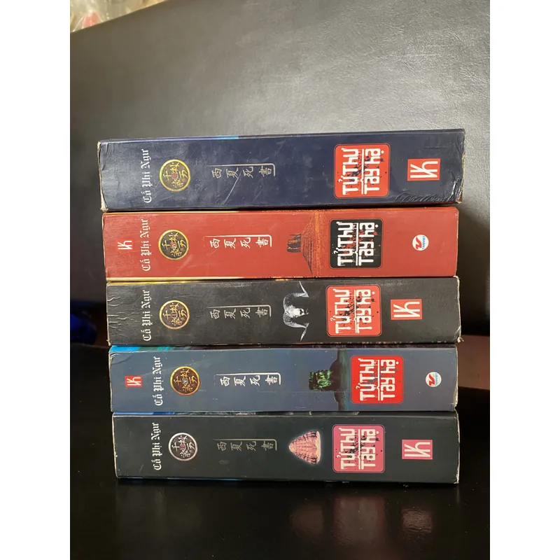 Tử Thư Tây Hạ full 5 tập  740596