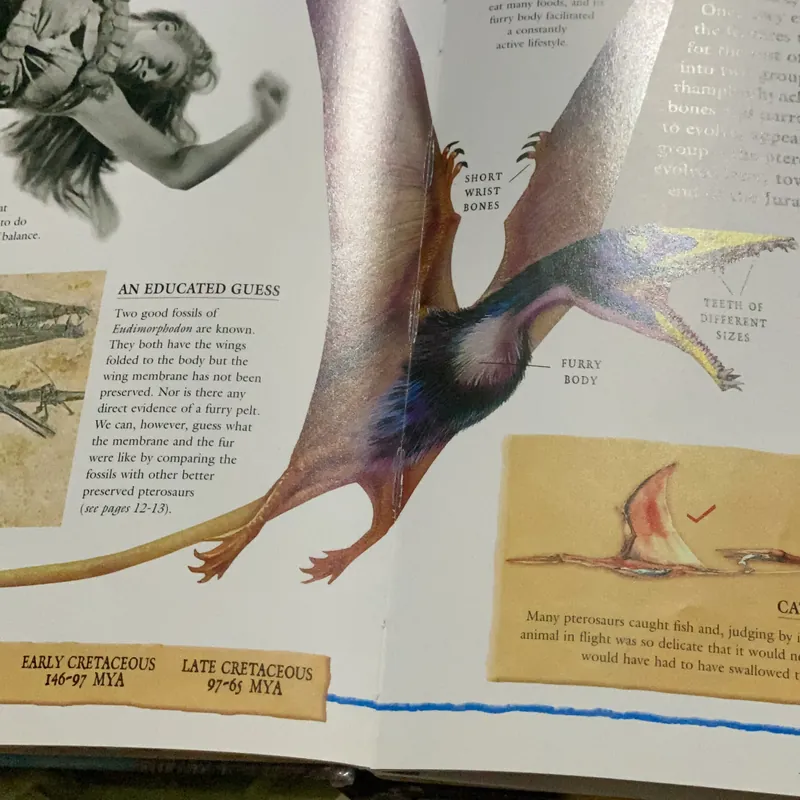 Dinosaurs In the sky ( khủng long bay trên trời)  564494