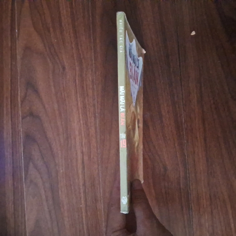 Bí ẩn mãi là bí ẩn tập 19 545571