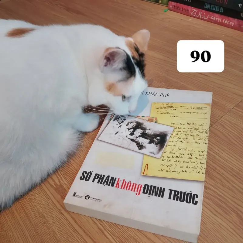 Số phận không định trước - Nguyễn Khắc Phê 907871