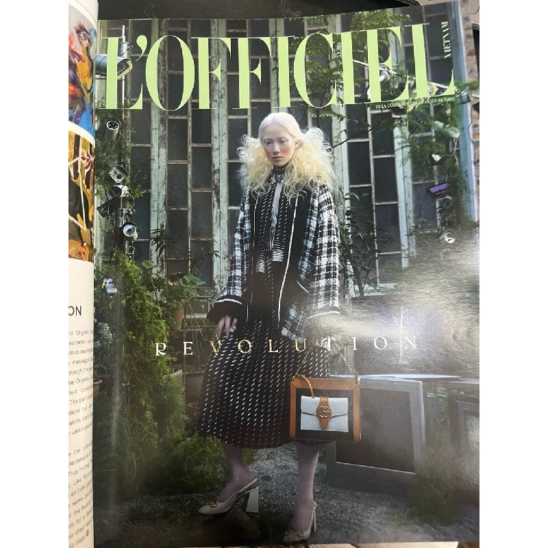 Art republik Vietnam: sự vô nhiễm của sáng tạo 761377