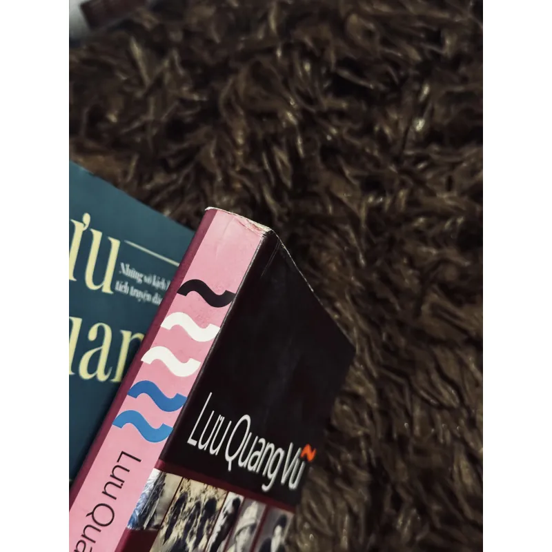 Combo 2c Lưu Quang Vũ 1022222