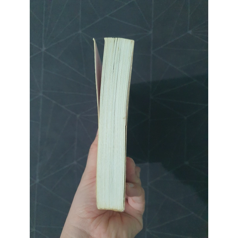 "Hóa ra anh vẫn ở đây" - Tân Di Ổ 492793