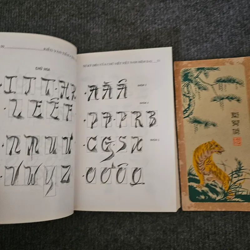 Sự kỳ diệu của chữ viết Việt Nam hiện đại 745969