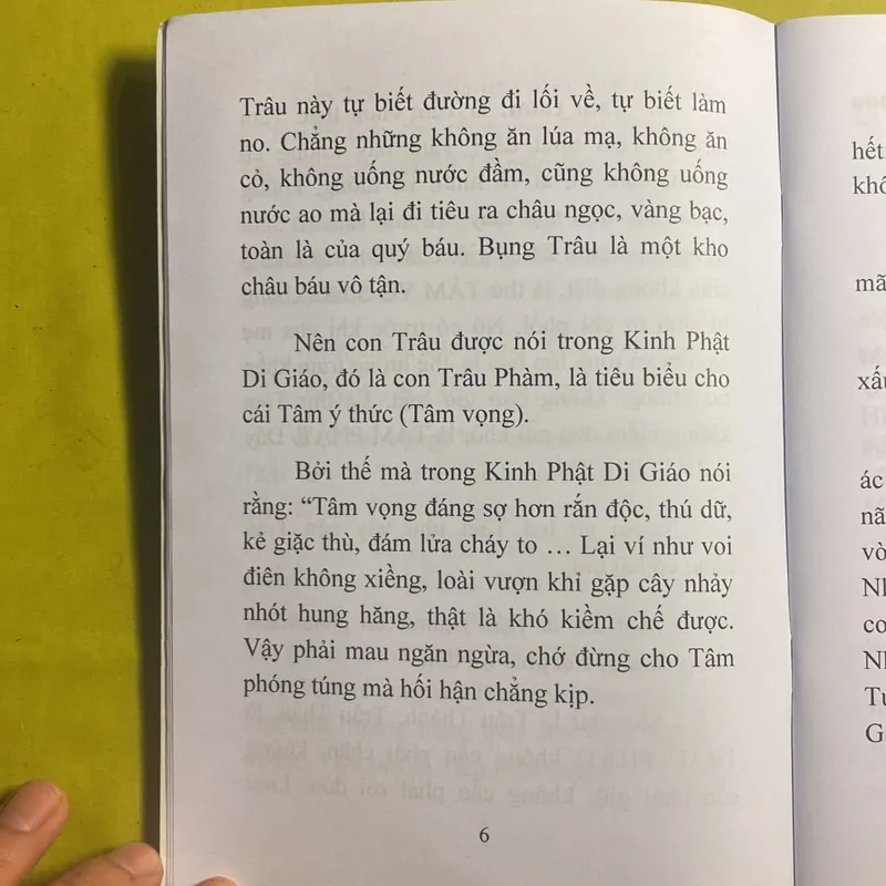 Con Trâu và Cái Tâm (Bí Lục Theo Trâu) - HT Đắc Huyền - Thích Như Phước Tú 630515