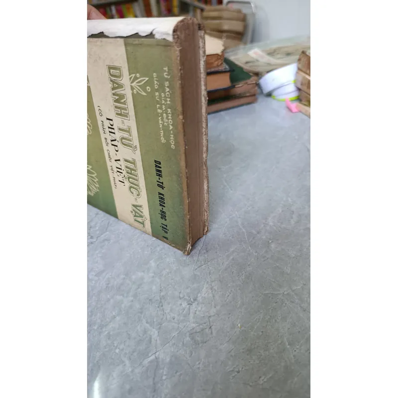 DANH TỪ THỰC VẬT PHÁP VIỆT 749478