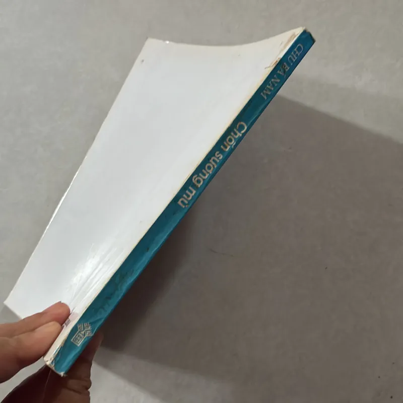 Chốn sương mù- Chu Bá Nam 746838