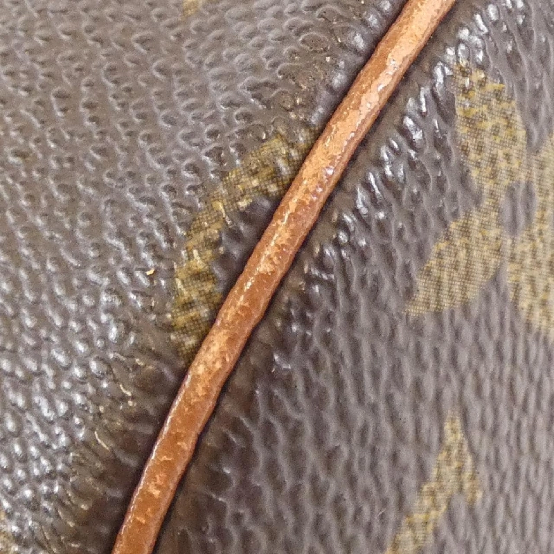 Túi Louis Vuitton Monogram Papillon 30cm M51365 615293