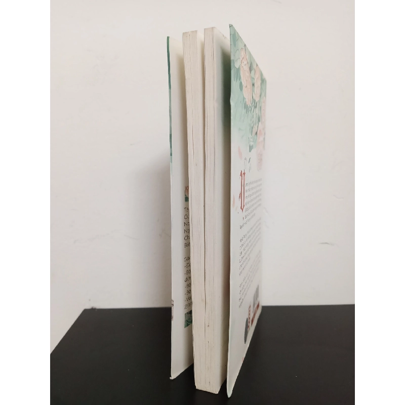 Tấm Chân Tình - Yudin Nguyễn New 90% HCM.ASB0901 913136