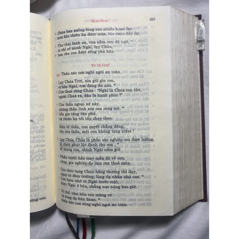 Các giờ kinh Phụng vụ - 2010 732455