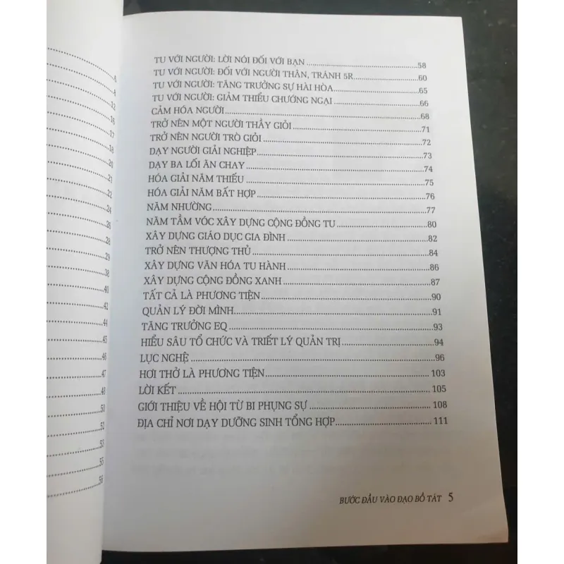 Bước Đầu Vào Đạo Bồ Tát - Thích Hằng Trường 700828