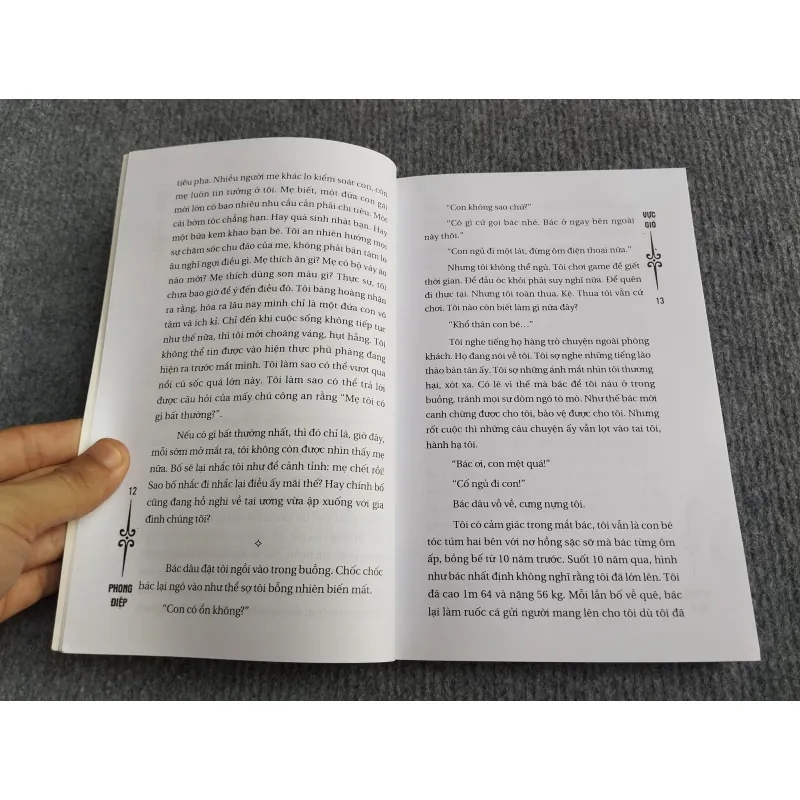 VỰC GIÓ - PHONG ĐIỆP 568158