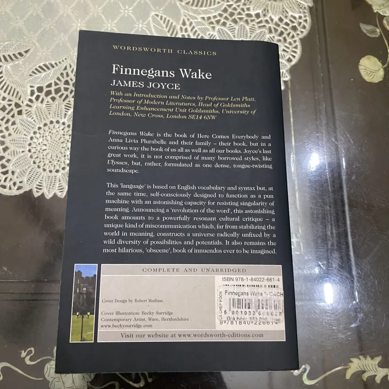 Finnegans Wake - James Joyce ( ngoại văn)0 1011358