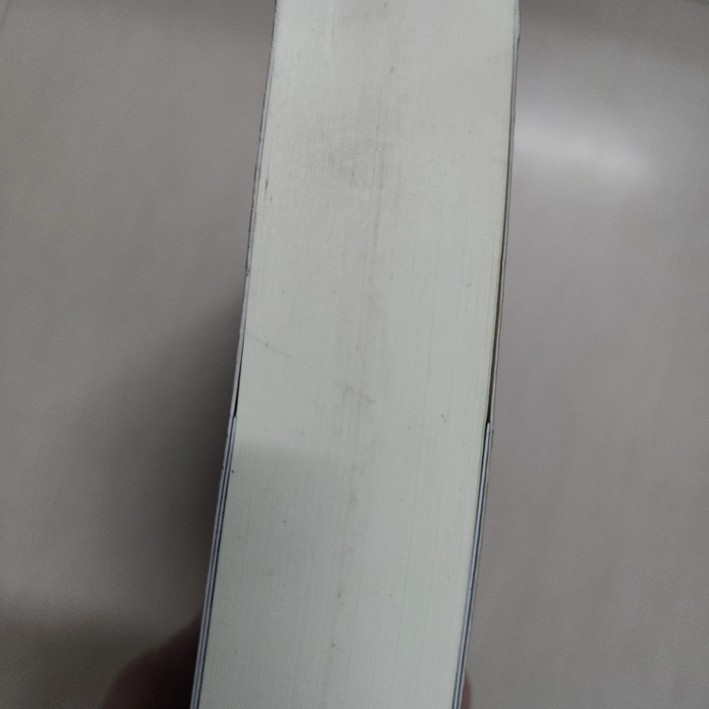 Sách Bí mật đen tối củua Michael Hjorth mới 95% 525202