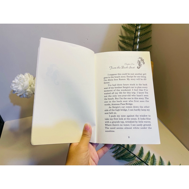 [Sách tiếng Anh 2hand] Like new 90% - Alicia's Treasure - Diane Gonzales Bertrand 494084