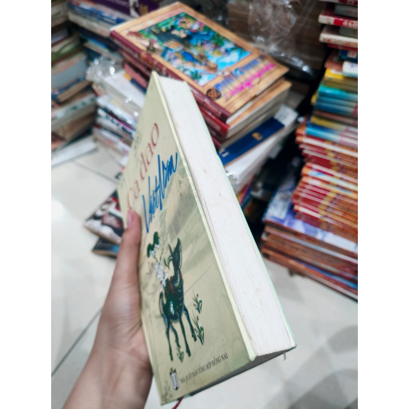 Cà dao Việt Nam 🌱 551104