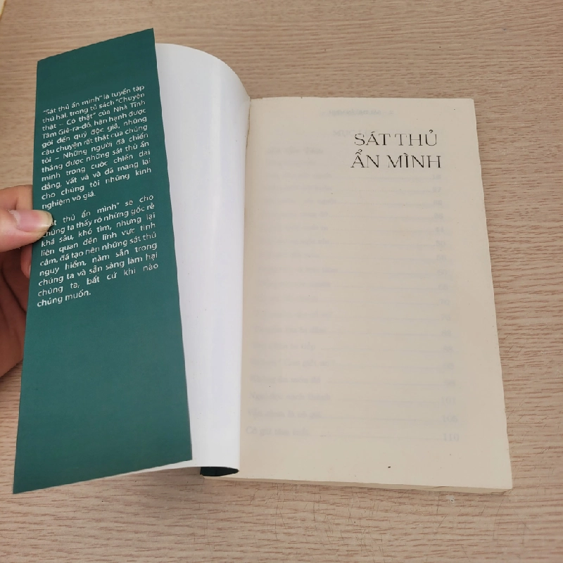 Sát Thủ Ẩn Mình 540924