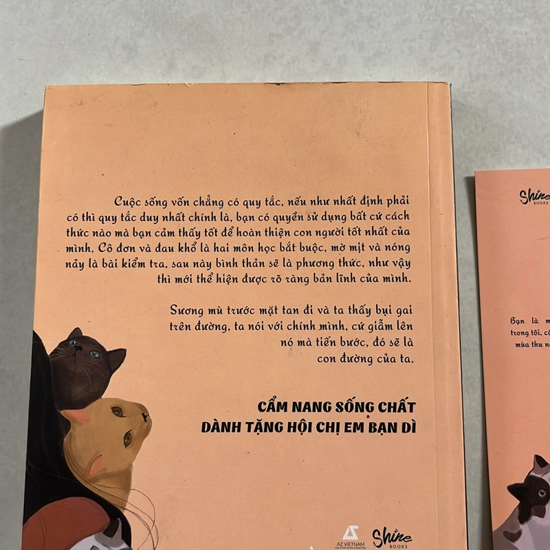 Chị chị Em em — Ngải Minh Nhã 500430