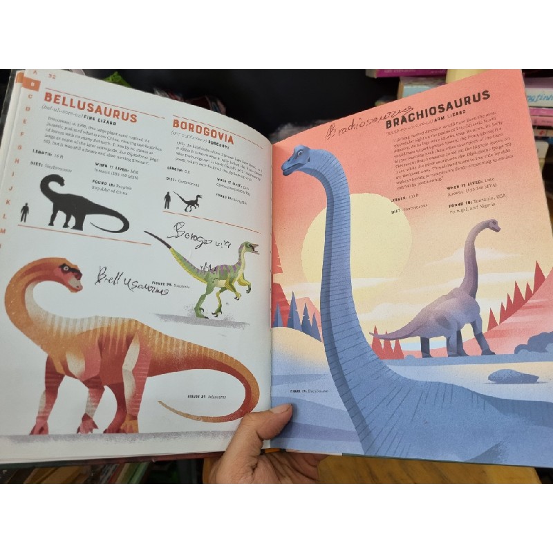 DICTIONARY OF DINOSAURS : AN ILLUSTRATED A TO Z OF EVERY DINOSAUR EVER DISCOVERED 119625