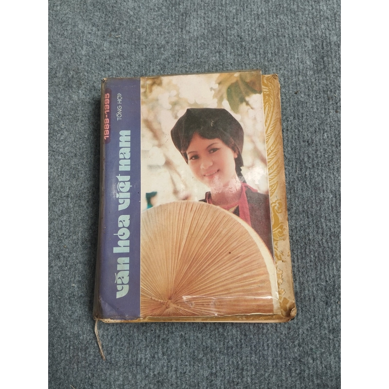 VĂN HÓA VIỆT NAM TỔNG HỢP 1989 - 1995 472263