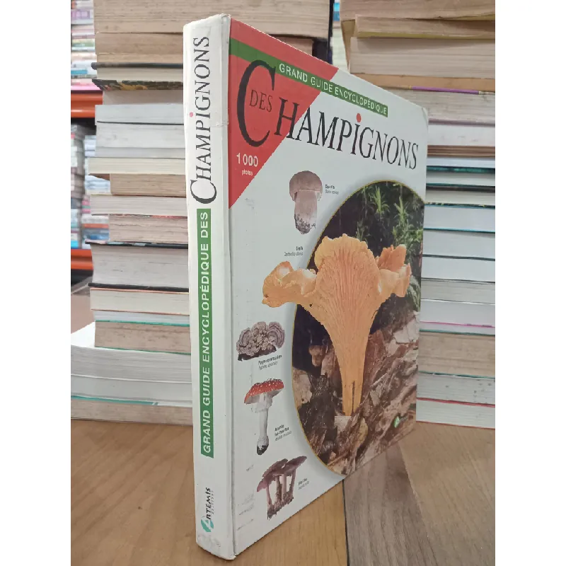 Grand guide encyclopédique des Champignons 712093