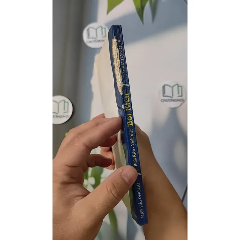 Bói Kiều - Phạm Đan Quế 798313